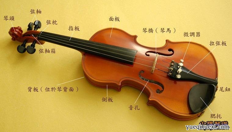 小提琴构造及简介