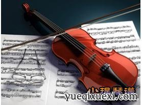 成人学习小提琴
