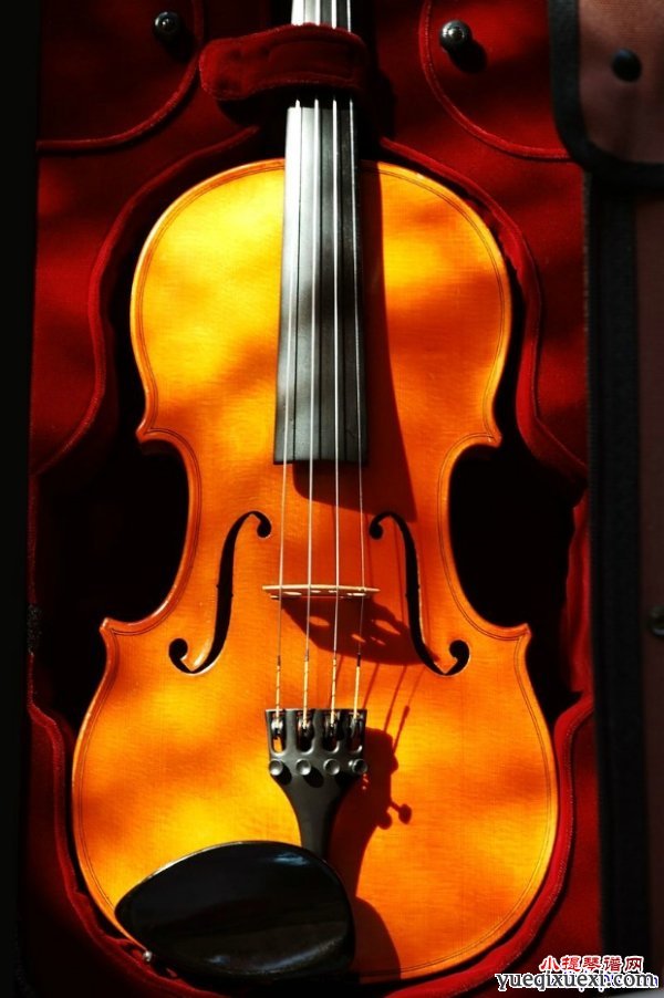 关于小提琴学习的问答