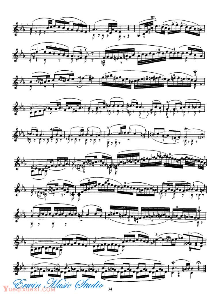 Federigo Fiorillo 36 Etudes or Caprices for Solo Violin 21-40