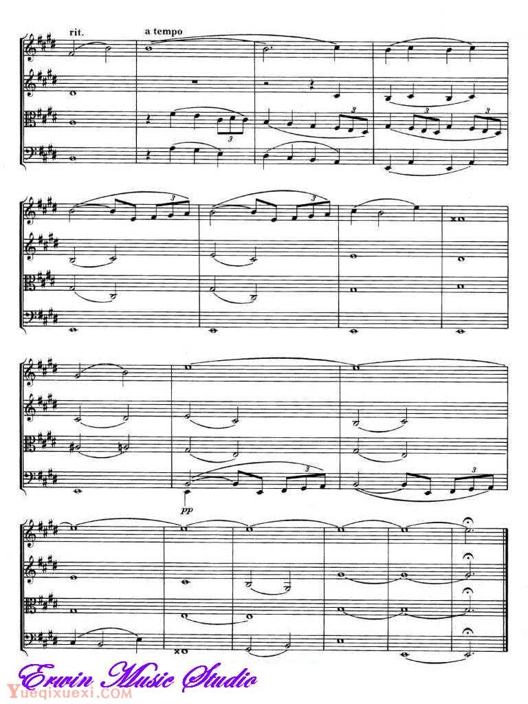 理查德 瓦格纳风格-生日快乐 变奏曲谱 弦乐四重奏Score Richard Wagner Variation Happy Birthday