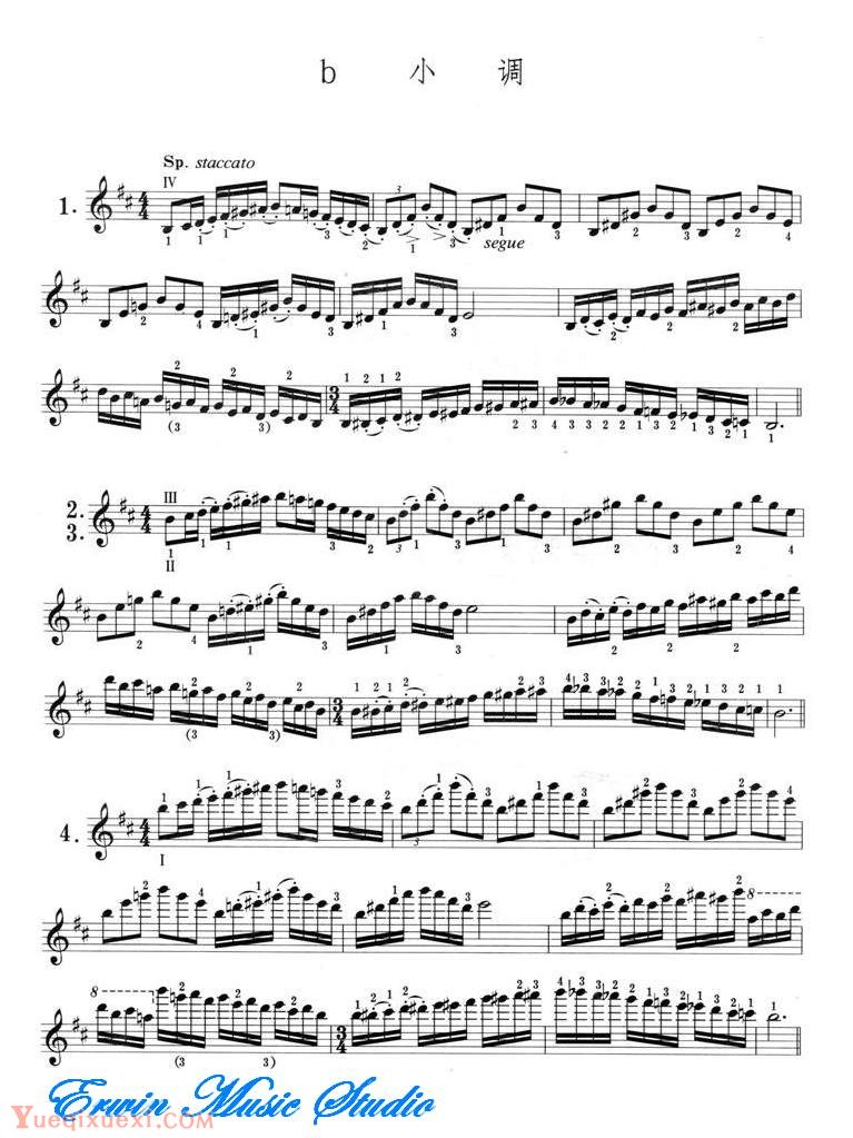 小提琴音阶体系 每日大、小調音阶练习 d小调
