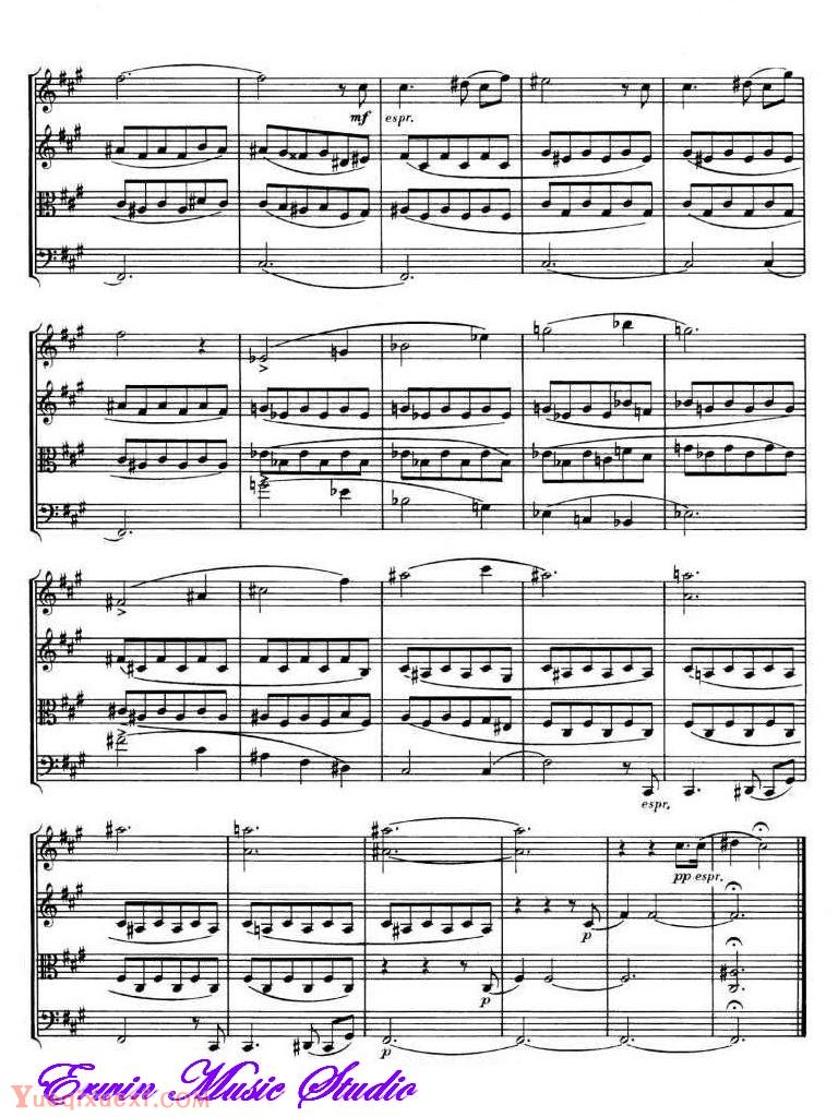 罗伯特 舒曼风格-生日快乐 变奏版 弦乐四重奏谱Score Robert Schumann Variation Happy Birthday