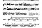 德米特里 康斯坦丁 多尼斯,小提琴技术的演奏艺术02
