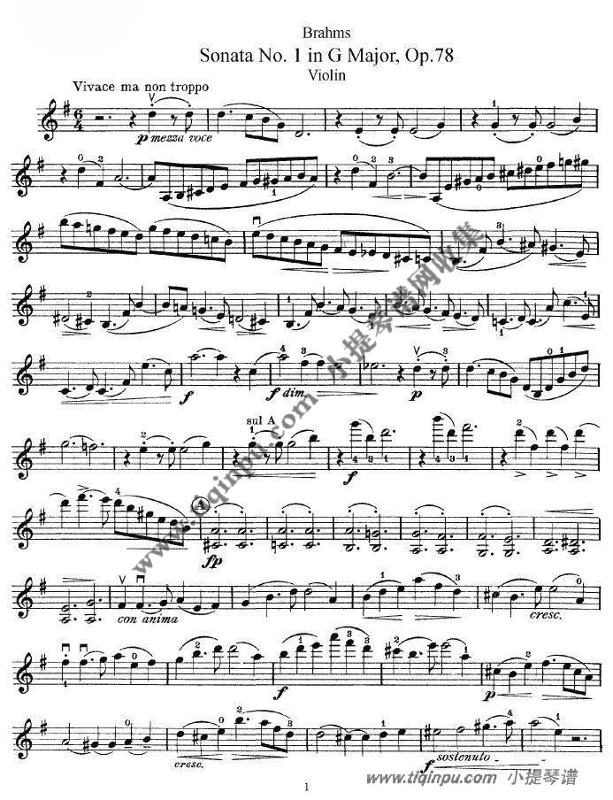 勃拉姆斯G大调第一奏鸣曲,小提琴独奏 文格洛夫