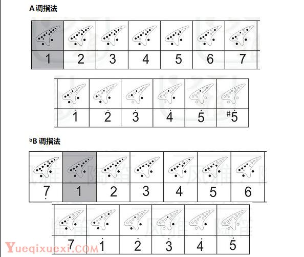 详解十二孔陶笛基本指法，十二孔陶笛基本指法表图片