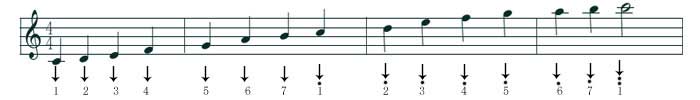 五线谱 ( Musical Notation )基础知识