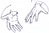 手指和手腕练习