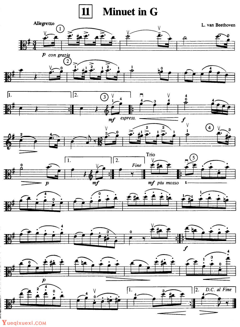Minuet in G 中提琴谱