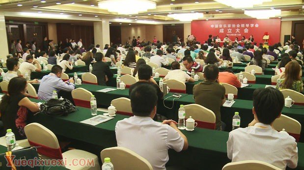 中国音乐家协会钢琴学会在宜昌正式成立