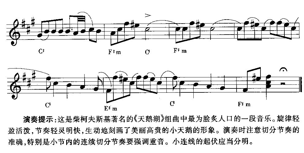 小天鹅舞曲电子琴曲谱（图2）