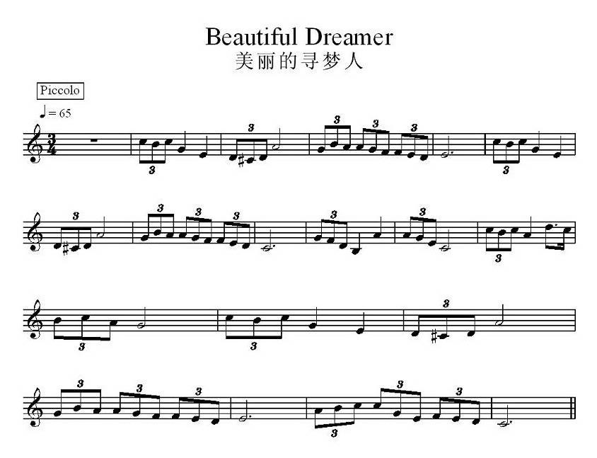 美丽的寻梦人电子琴曲谱（图1）