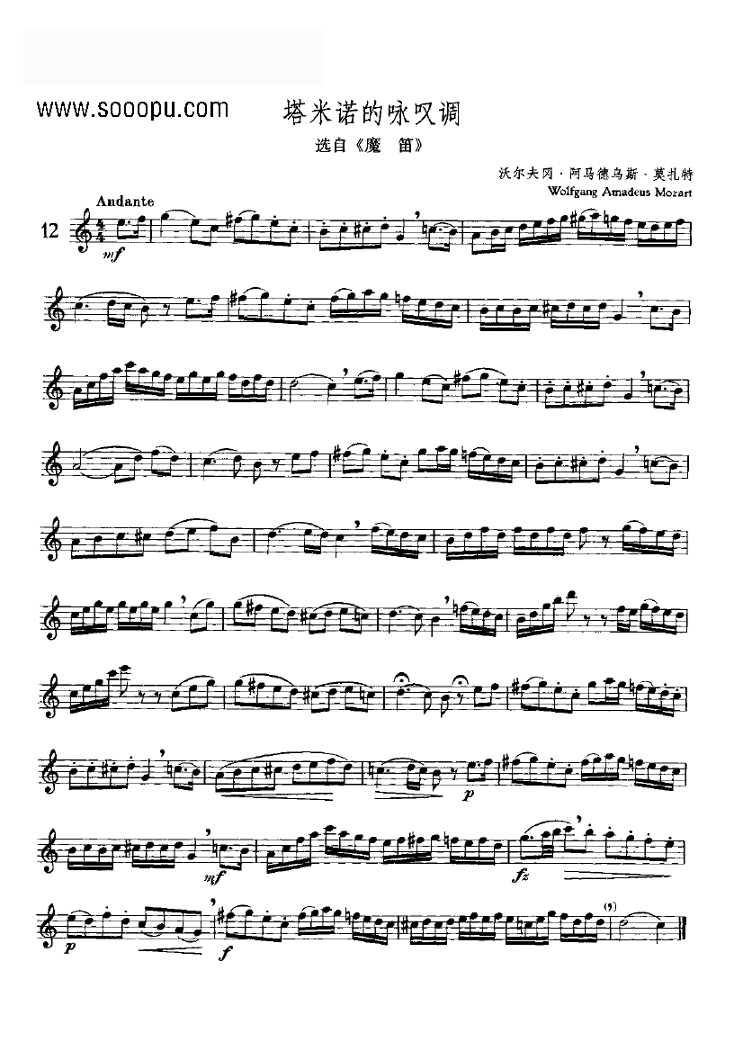 塔米诺的咏叹调—独奏 管乐类 长笛笛子（箫）曲谱（图1）
