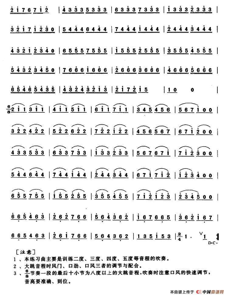 笛子连分音大跳练习笛子（箫）曲谱（图2）