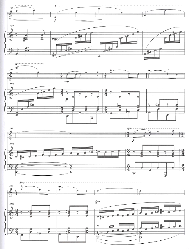 美丽的塔什库尔干(长笛独奏)14笛子（箫）曲谱（图1）