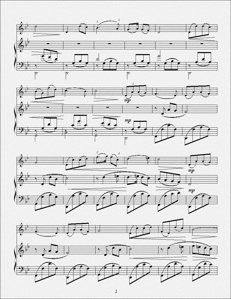 鹭江潮（钢琴伴奏版）二胡曲谱（图2）
