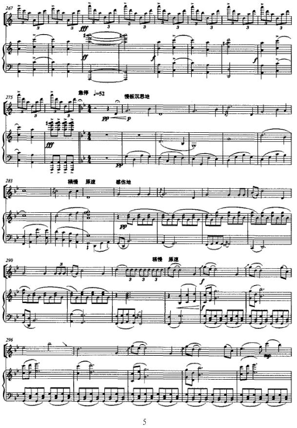 第三二胡协奏曲（五线谱版）二胡曲谱（图5）