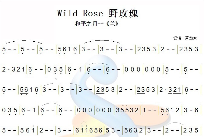 wild rose二胡曲谱（图1）