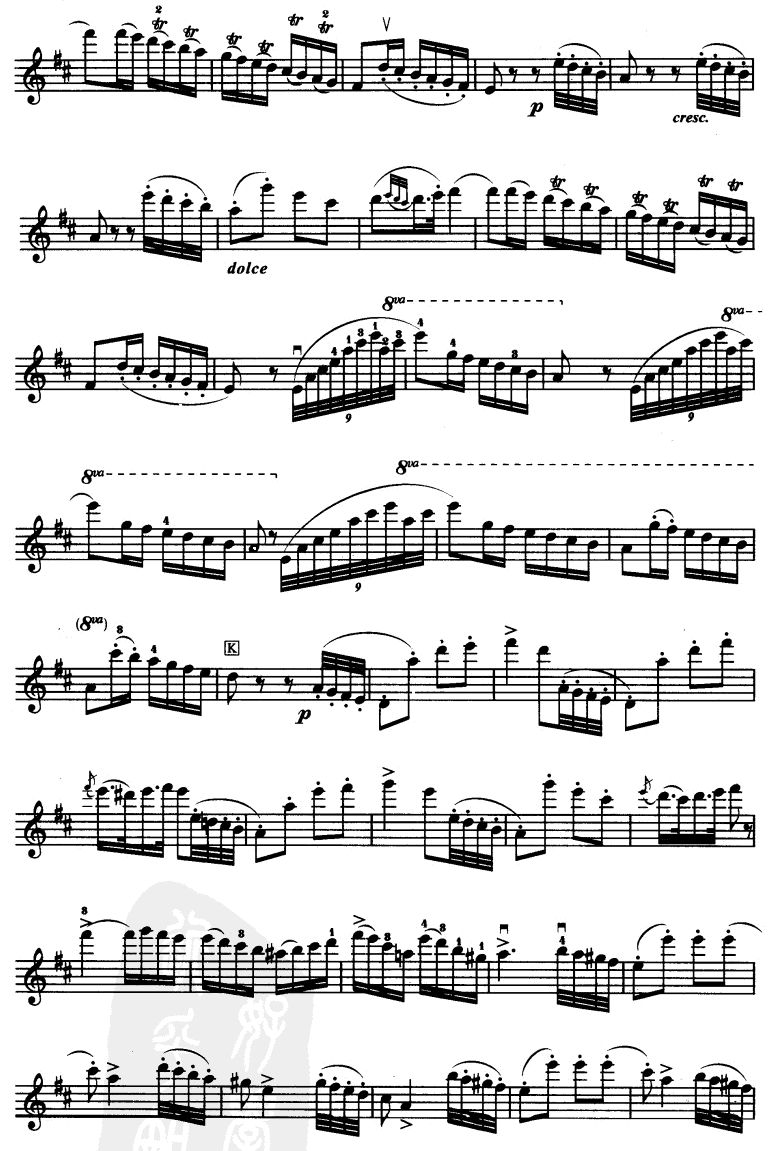 D大调小提琴协奏曲二胡曲谱（图7）