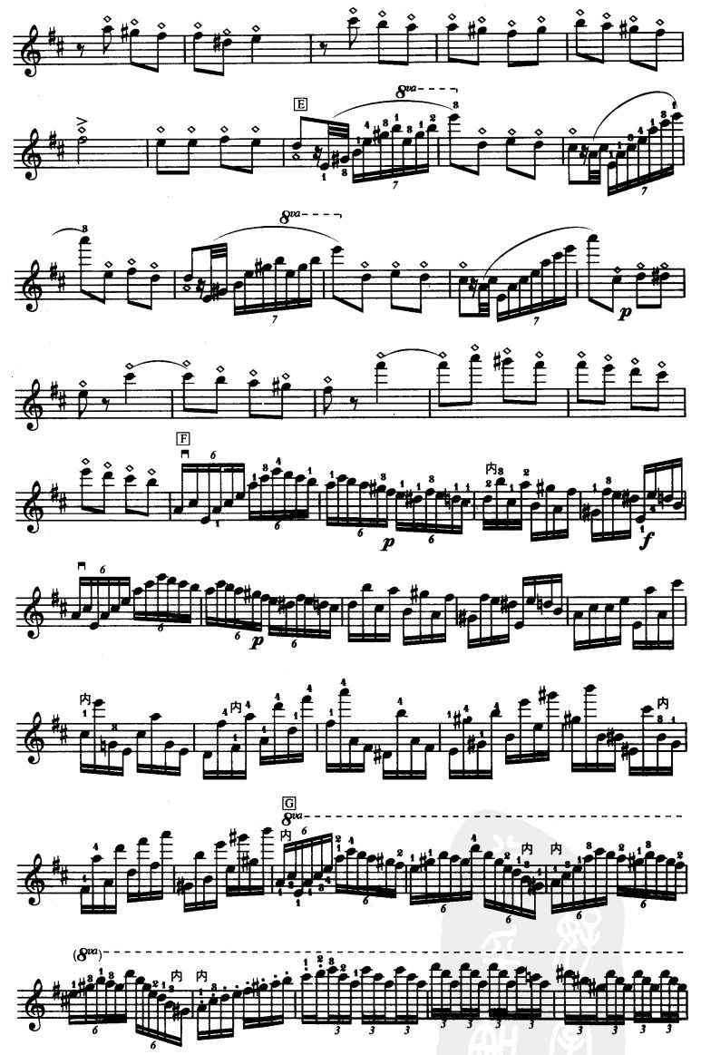 D大调小提琴协奏曲二胡曲谱（图5）