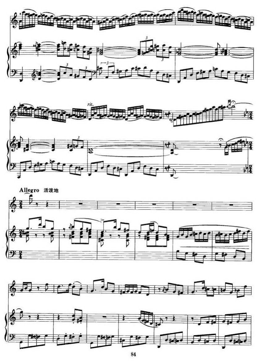 第二二胡狂想曲（二胡+钢琴伴奏）二胡曲谱（图5）