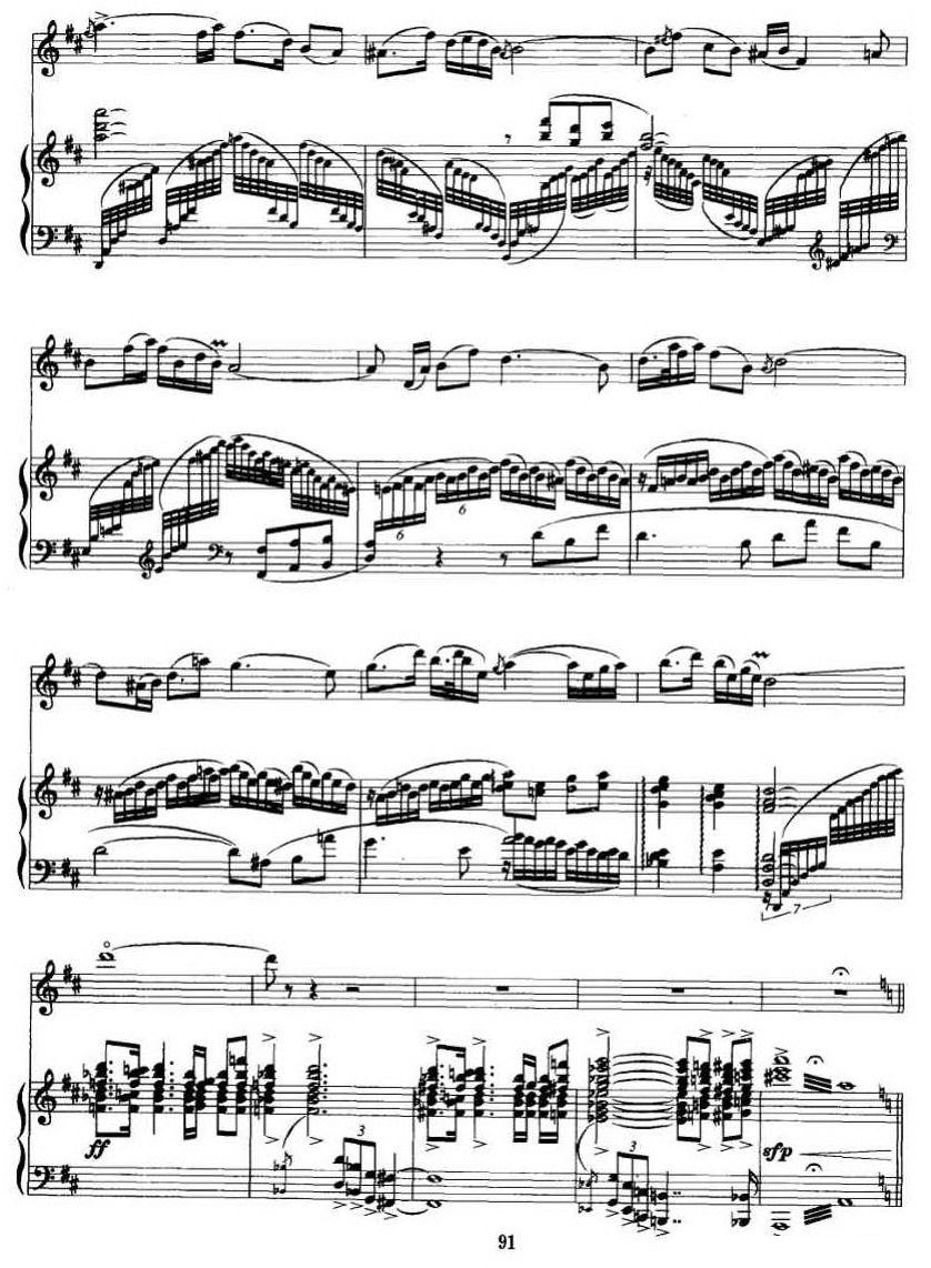 第二二胡狂想曲（二胡+钢琴伴奏）二胡曲谱（图12）