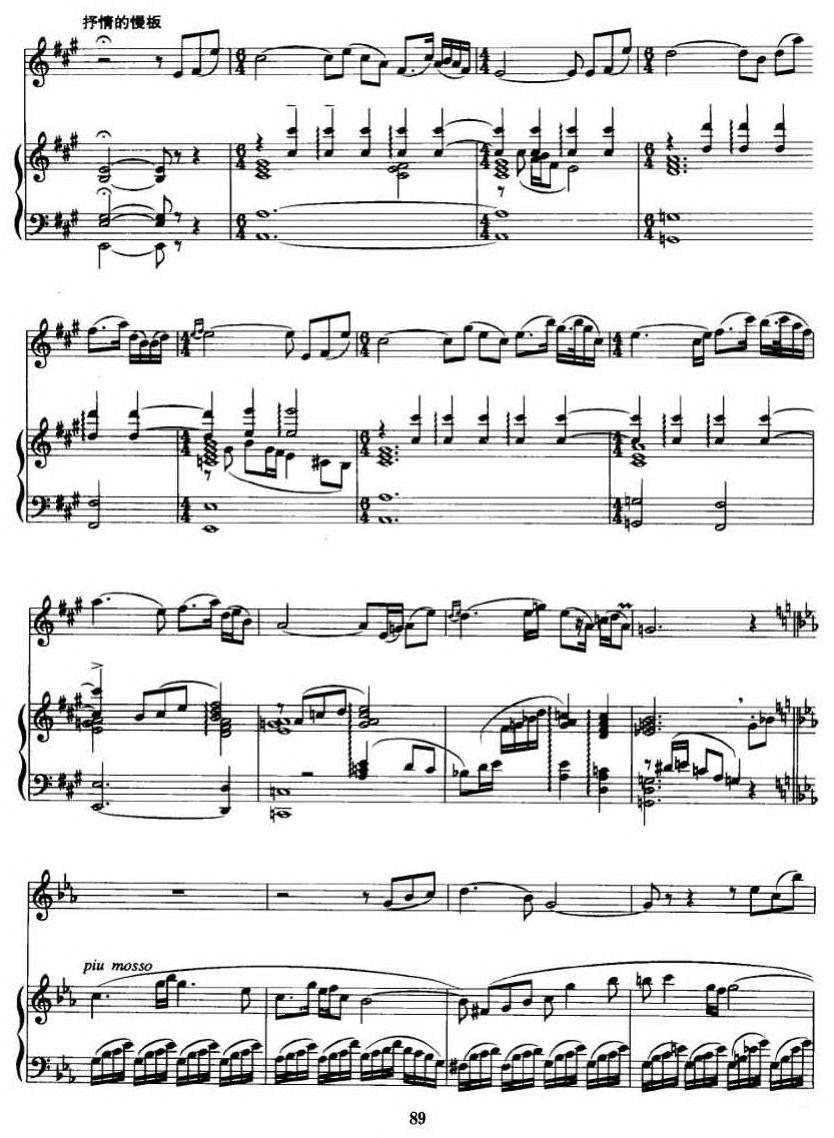 第二二胡狂想曲（二胡+钢琴伴奏）二胡曲谱（图10）