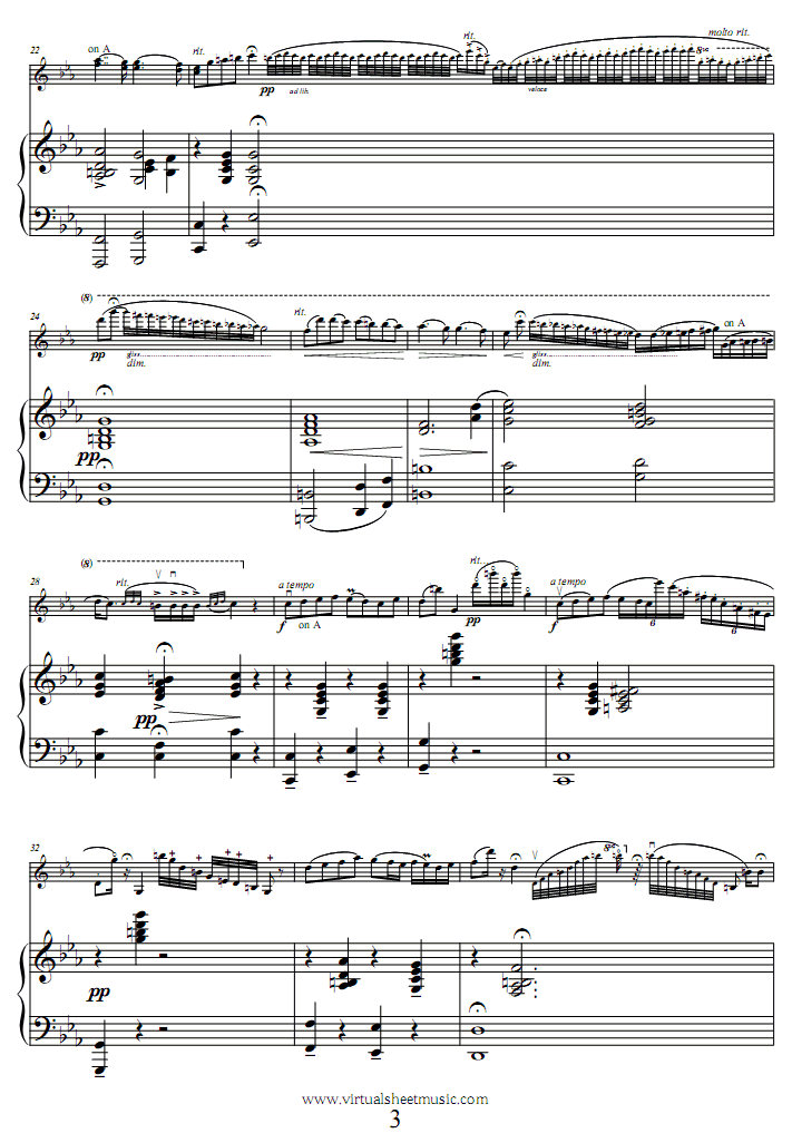 流浪者之歌钢琴曲谱（图3）