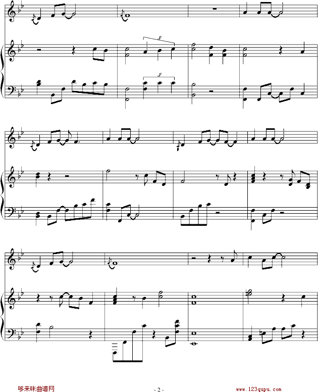 用心良苦-弹唱-张宇钢琴曲谱（图2）