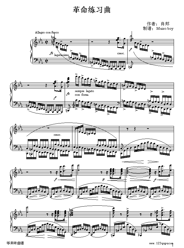 革命练习曲-肖邦钢琴曲谱（图1）