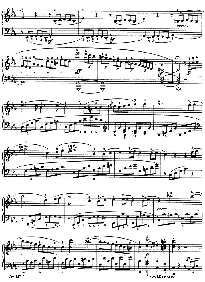 C小调第八琴奏鸣曲（悲怆）Op—13-贝多芬钢琴曲谱（图14）