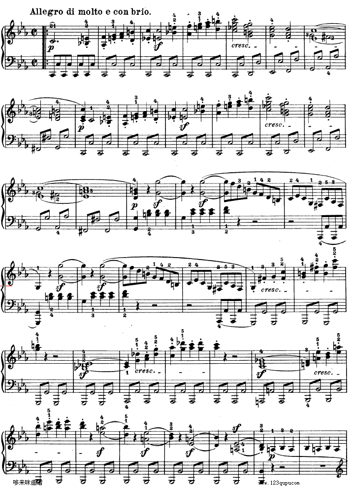 C小调第八琴奏鸣曲（悲怆）Op—13-贝多芬钢琴曲谱（图2）