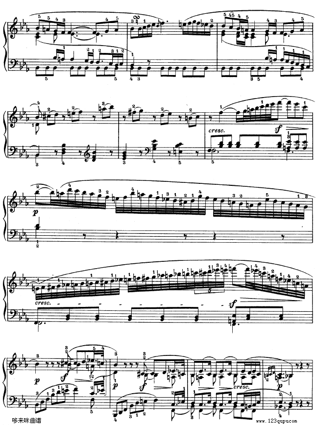 第十一钢琴奏鸣曲-op.22-贝多芬钢琴曲谱（图11）