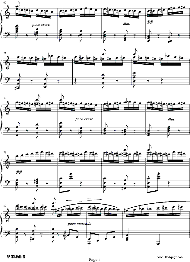 野蜂飞舞-戈原-拉赫马尼若夫钢琴曲谱（图5）