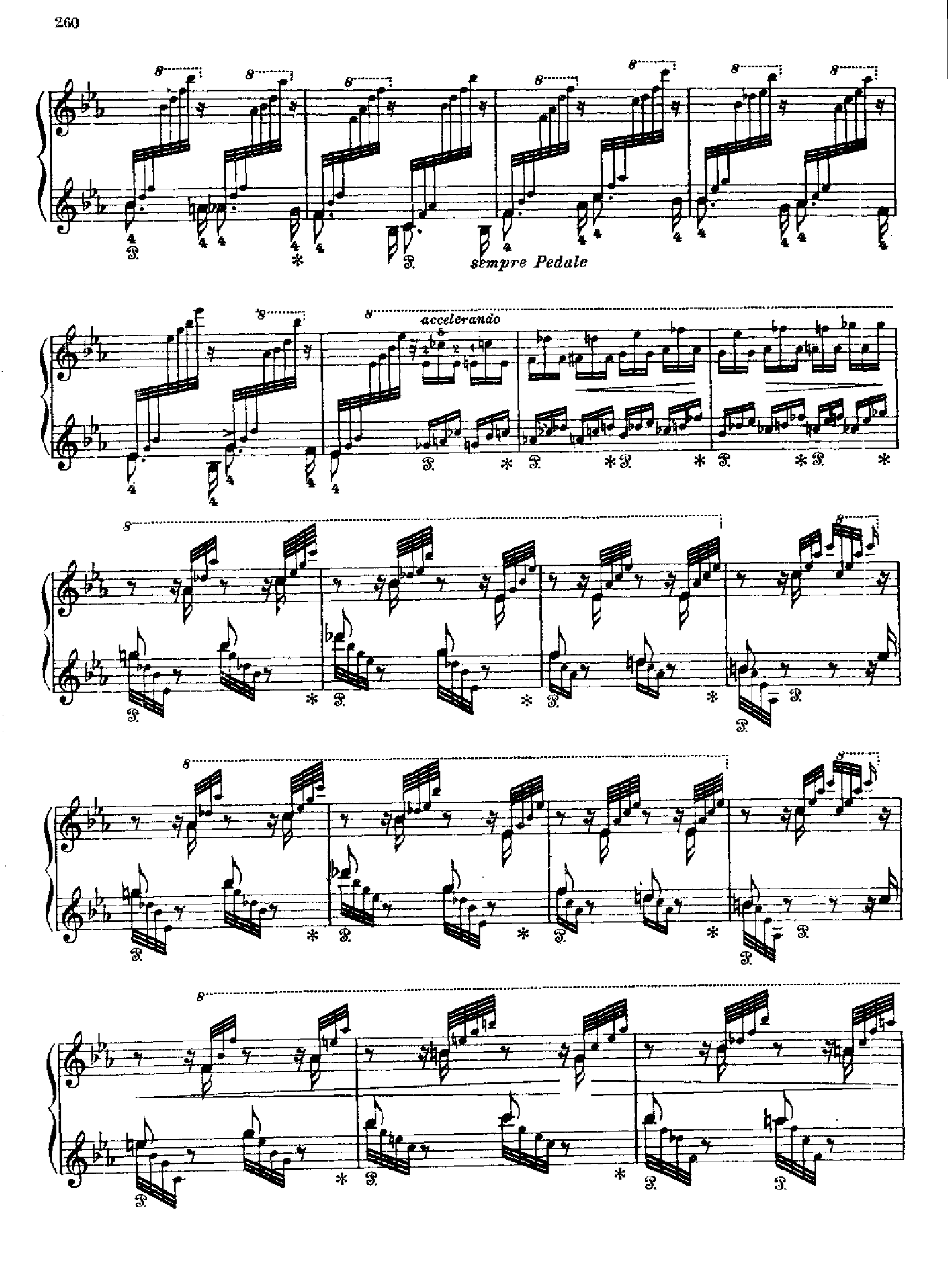 塔兰台拉舞曲 键盘类 钢琴钢琴曲谱（图13）