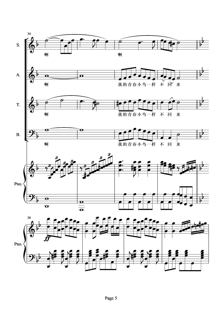 青春舞曲(总谱)钢琴曲谱（图5）