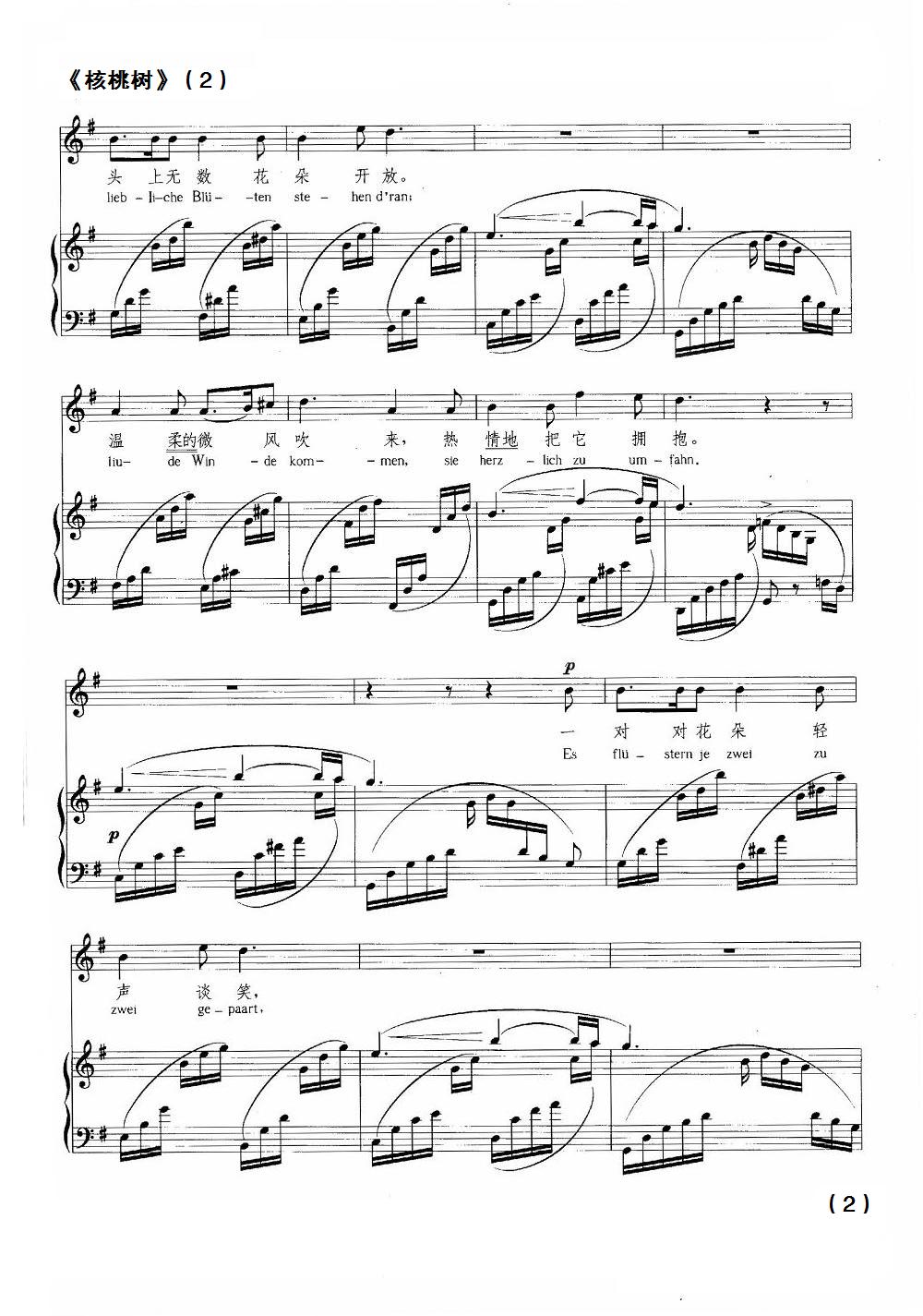核桃树钢琴曲谱（图2）