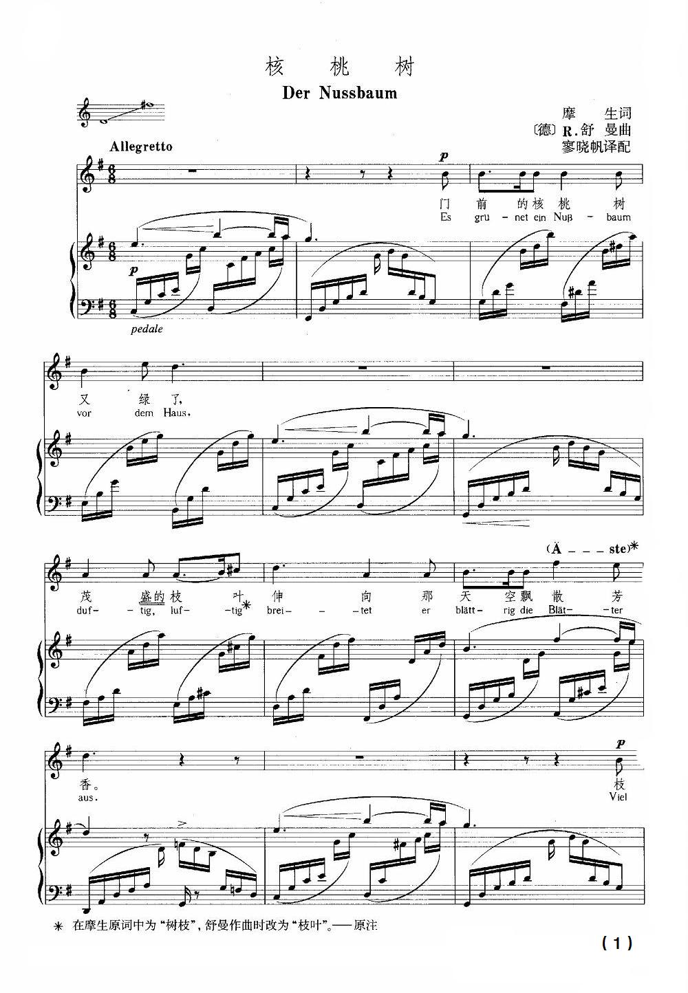 核桃树钢琴曲谱（图1）