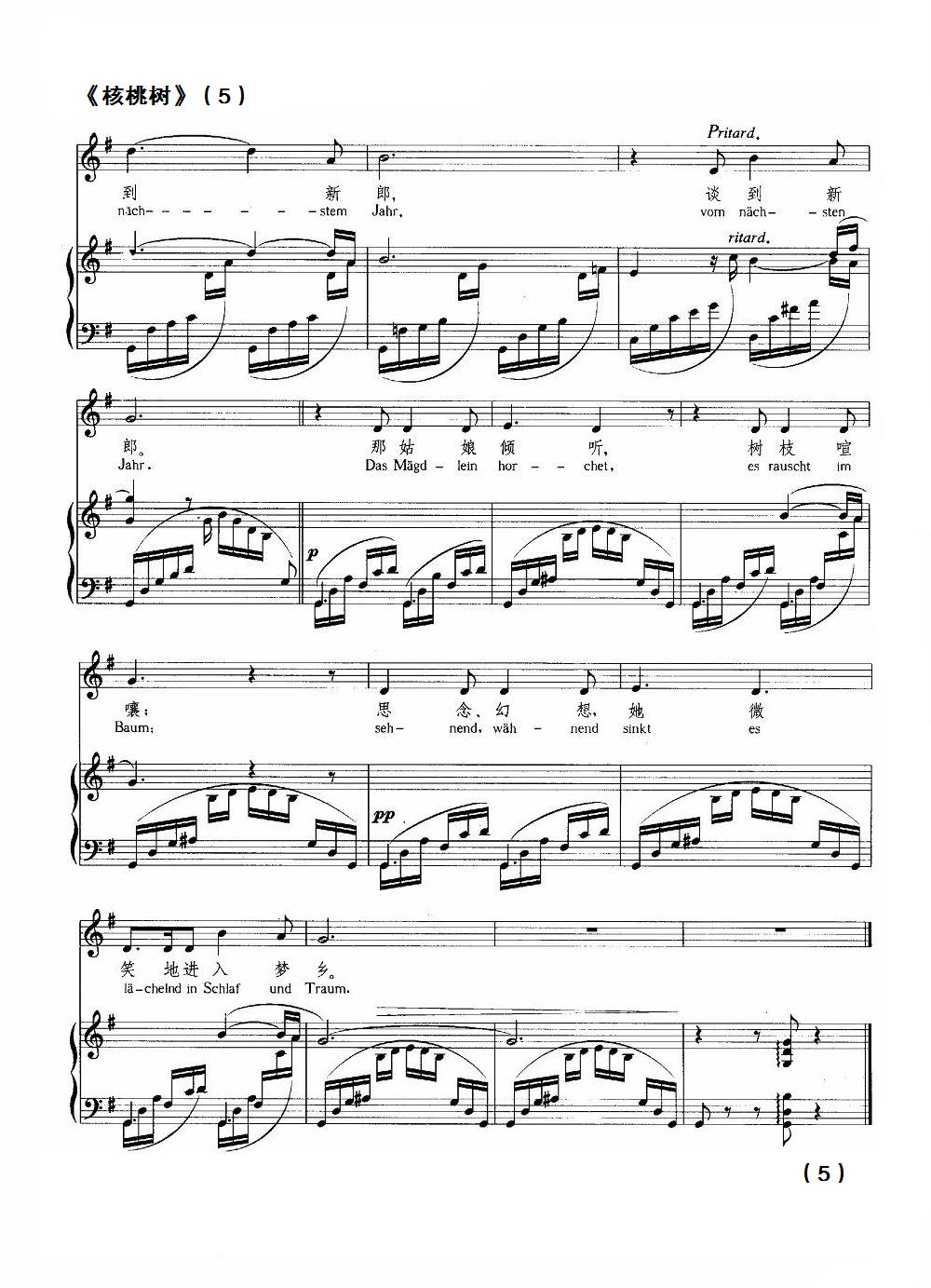 核桃树钢琴曲谱（图5）