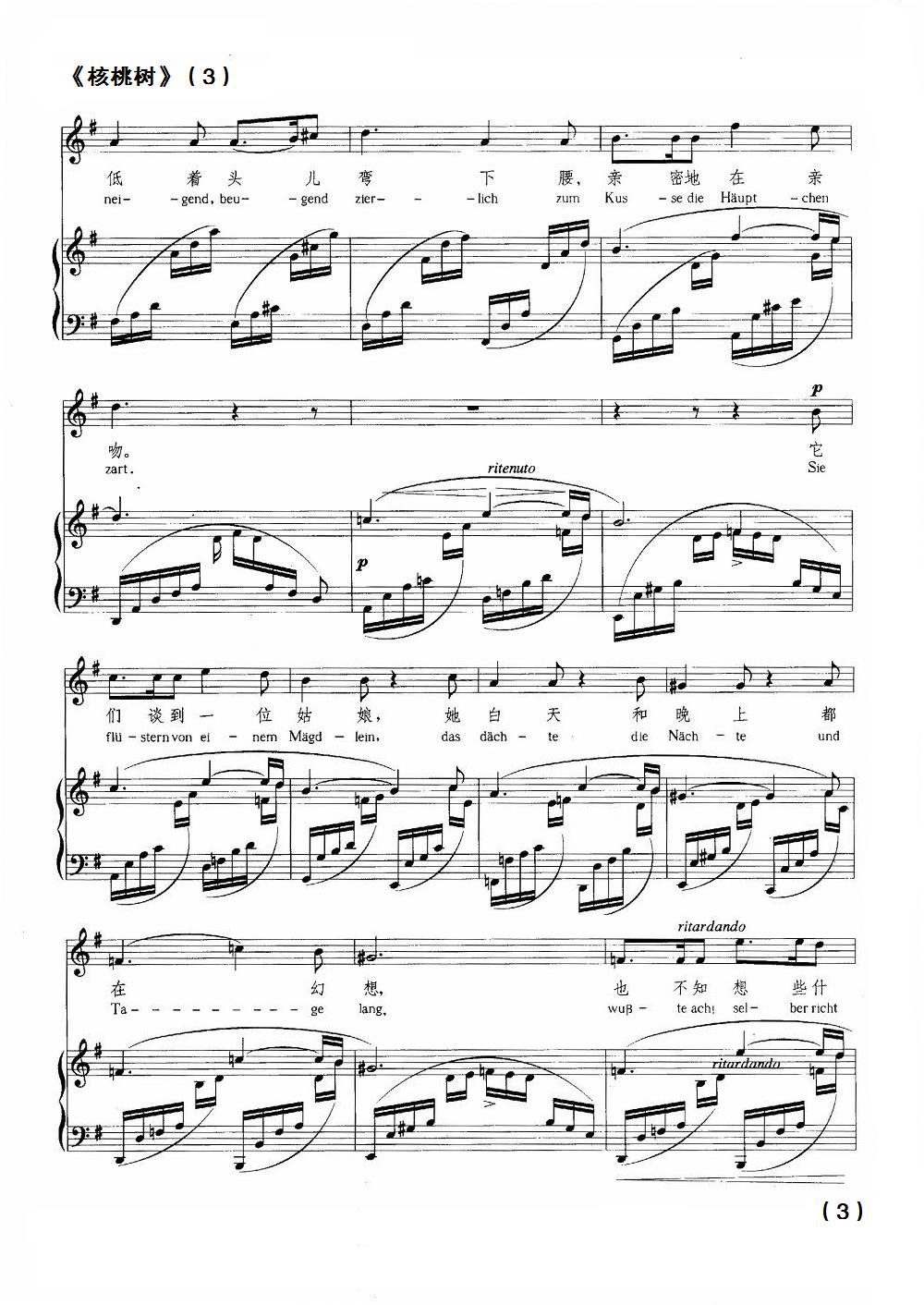 核桃树钢琴曲谱（图3）
