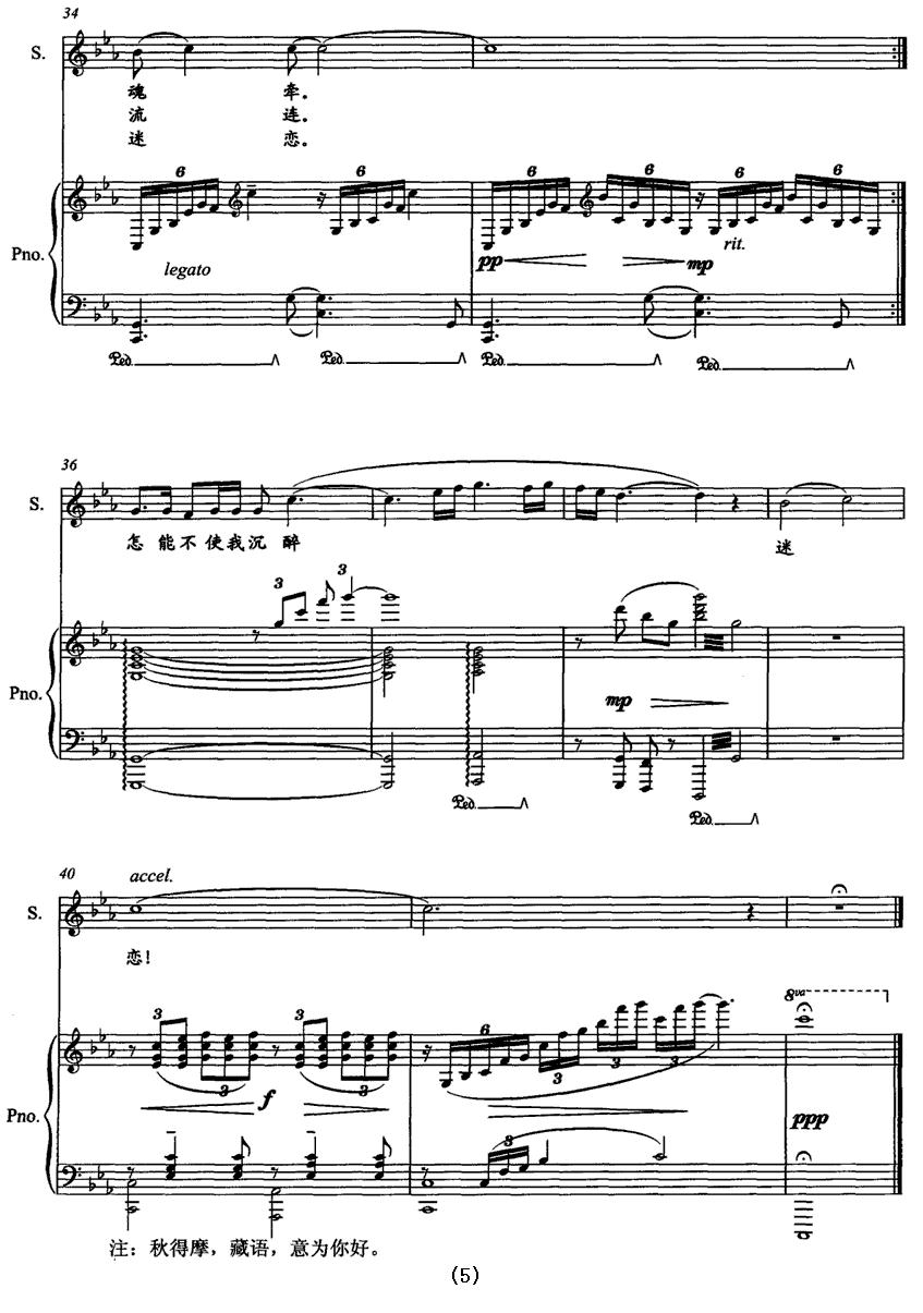 天境祁连（正谱）钢琴曲谱（图5）