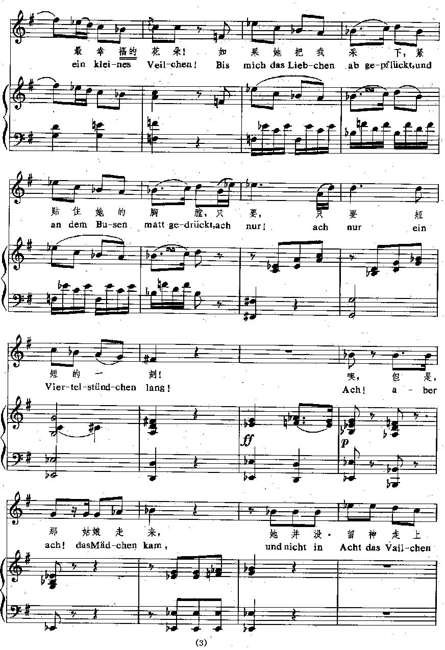 [奥]紫罗兰（中外文对照、正谱）钢琴曲谱（图3）