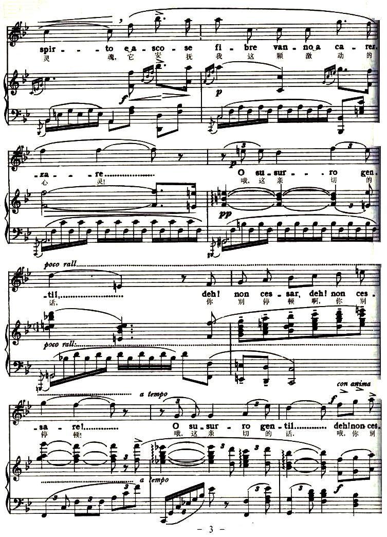 我从来没有见过（中外文对照、正谱）钢琴曲谱（图3）