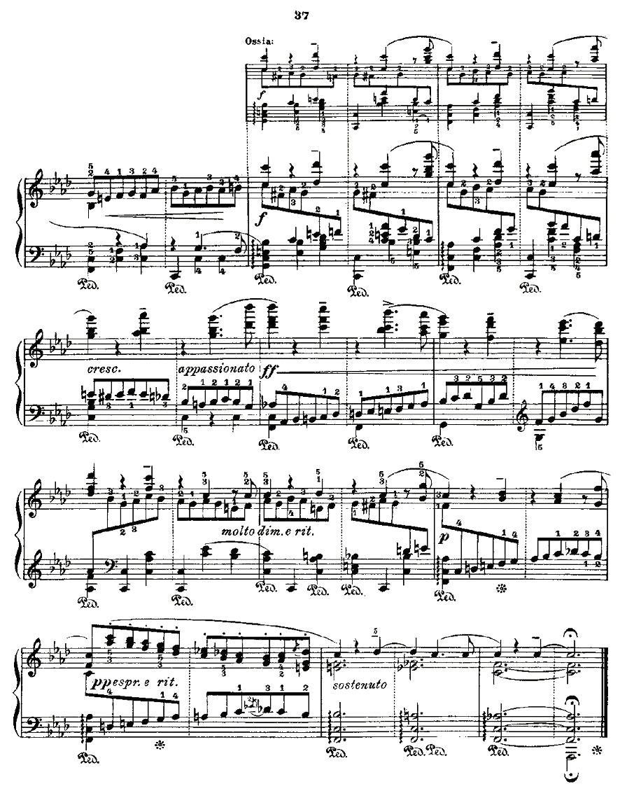 肖邦《练习曲》Fr.Chopin Op.25 No2-2钢琴曲谱（图5）