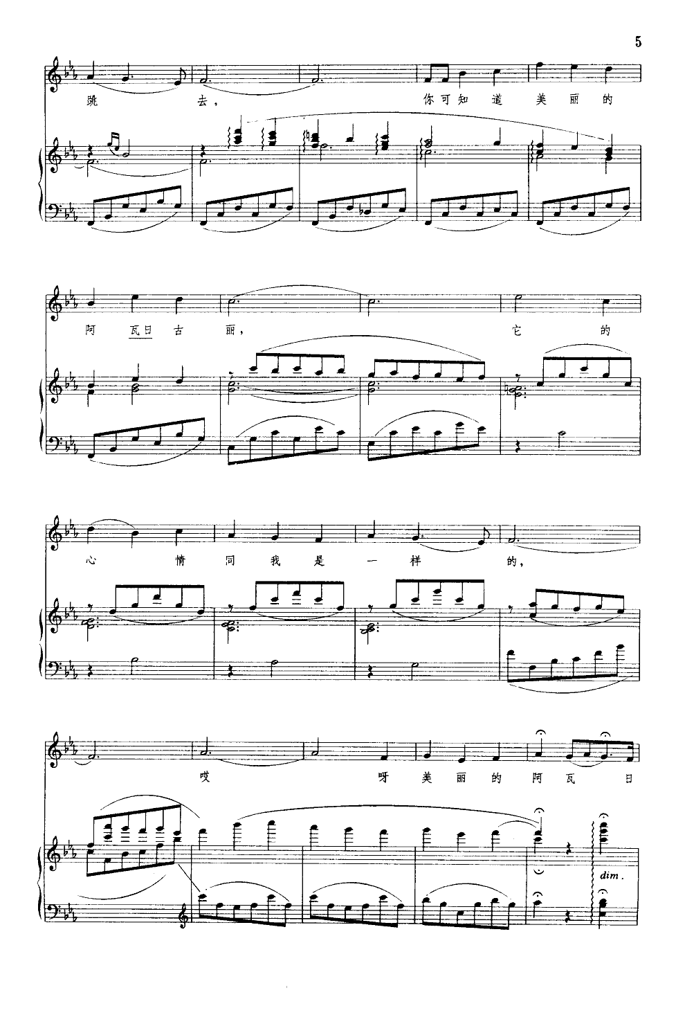阿瓦古丽(钢伴谱)钢琴曲谱（图5）