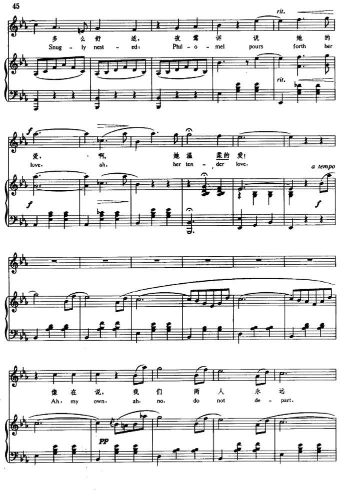 [奥] 春之声（中外文对照、正谱）钢琴曲谱（图6）
