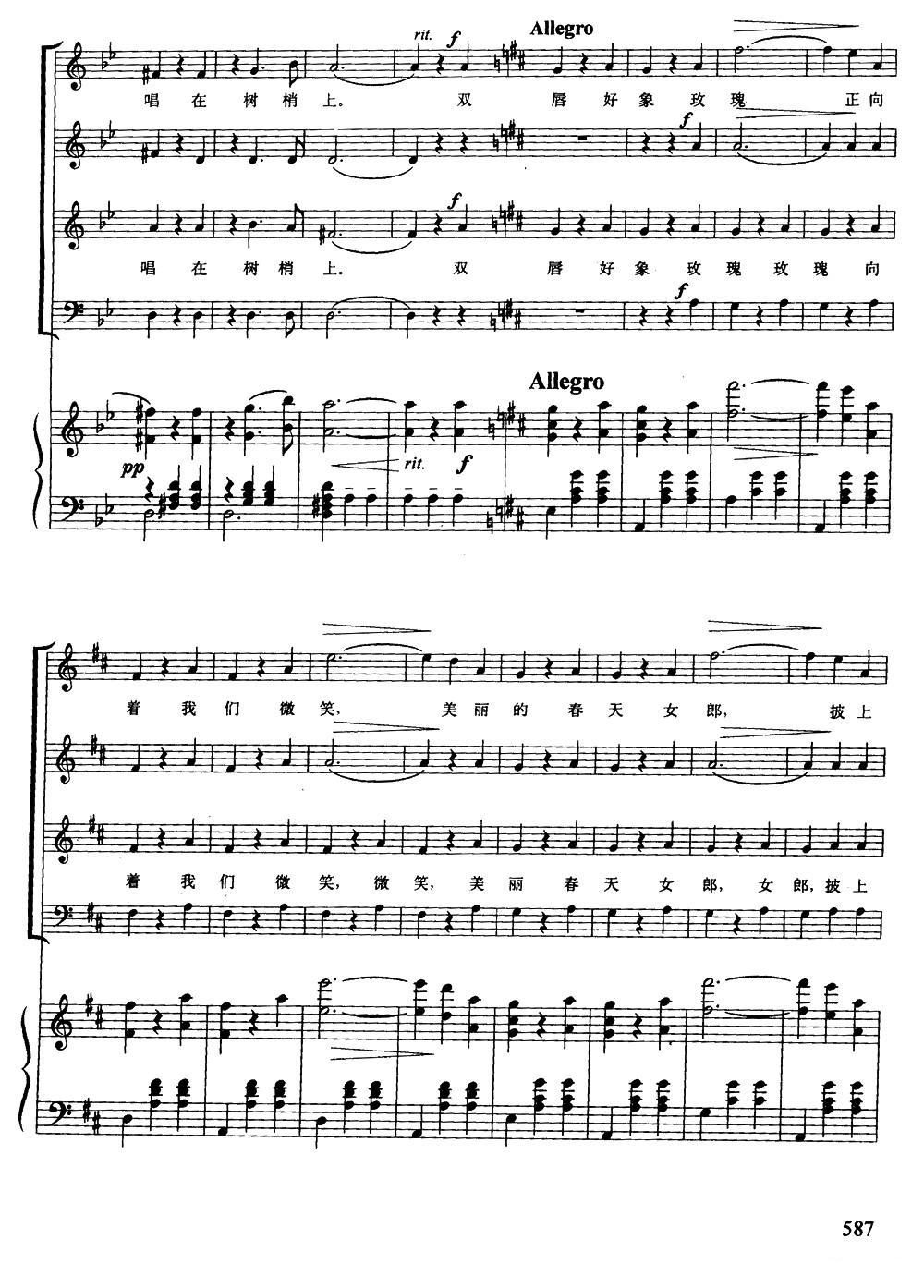[奥] 蓝色的多瑙河（混声四部合唱、正谱版）钢琴曲谱（图8）