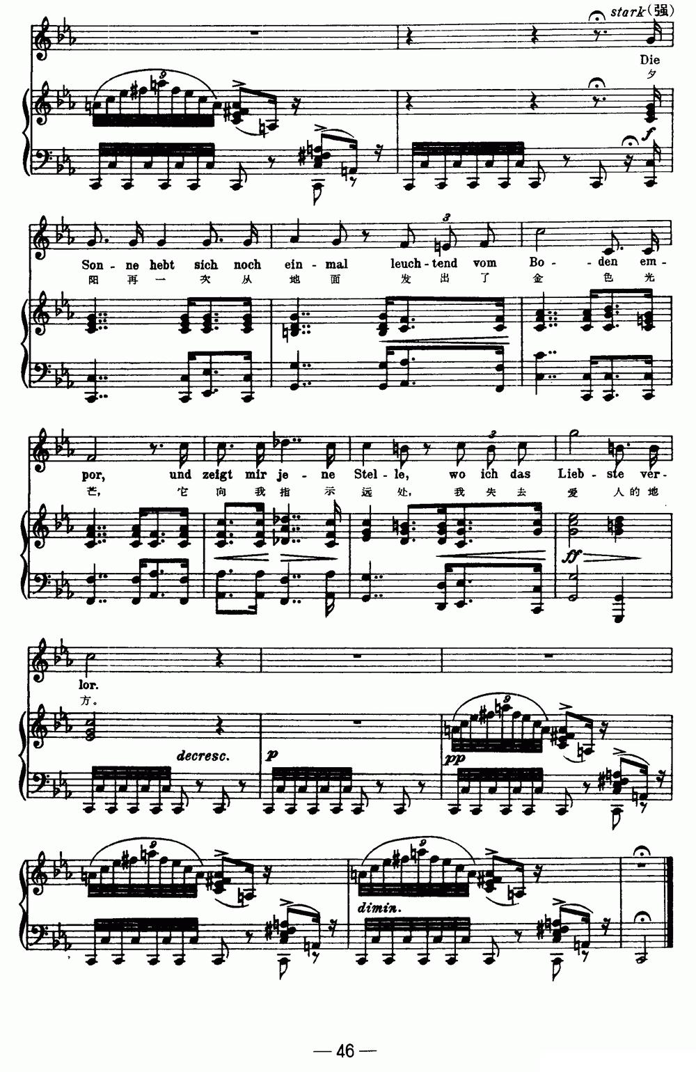 天鹅之歌 11、城市（中外文对照、正谱）钢琴曲谱（图3）