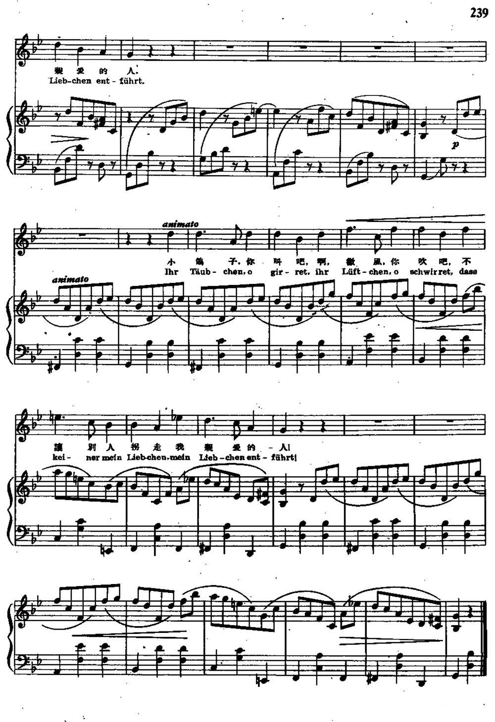 去看望爱人的路上（波西米亚民歌）（中外文对照、正谱）钢琴曲谱（图7）