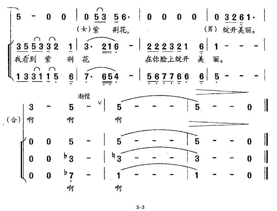 大大之子合唱曲谱（图3）